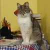 Отзыв от Алиса Михайлова